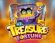 Mr. Treasure`s Fortune